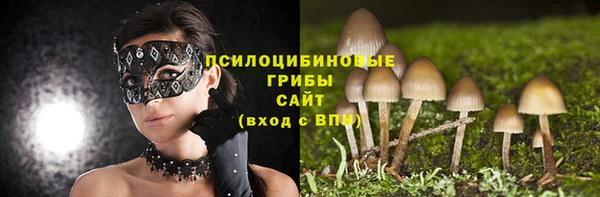 экстази Богданович