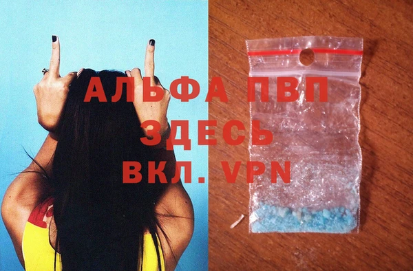экстази Богданович