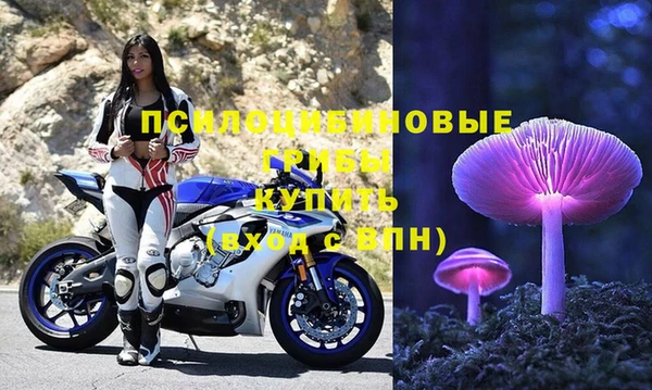 эйфоретик Богородск