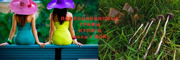экстази Богданович