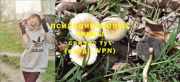 эйфоретик Богородск